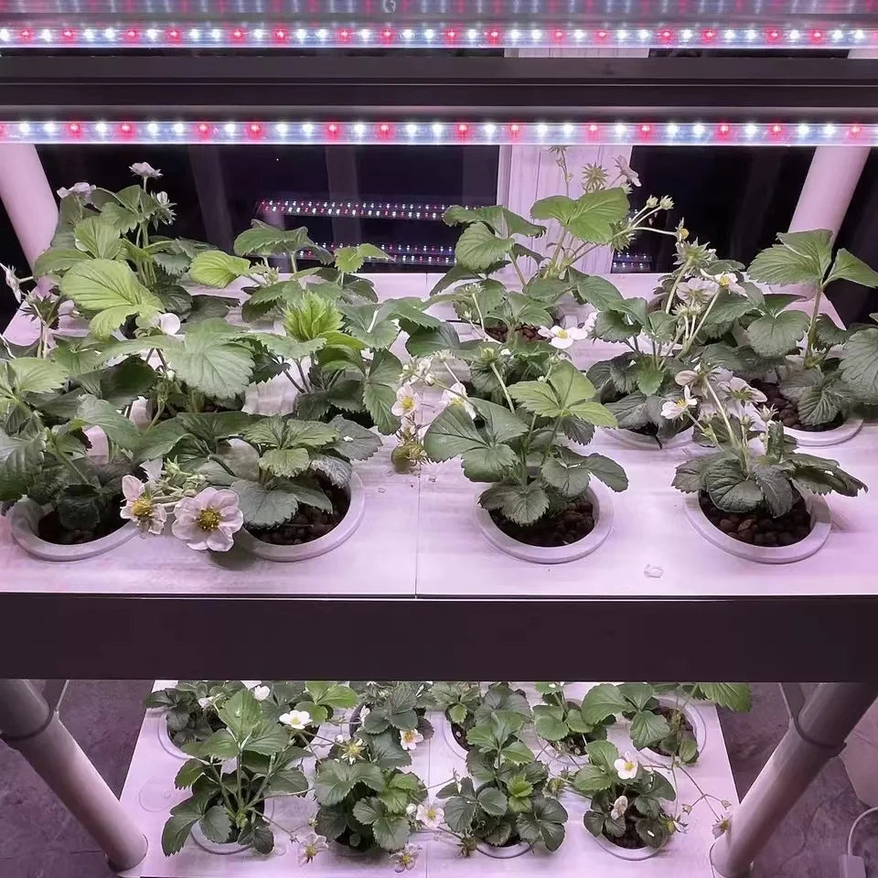 hydroponics growing system kit with led growing lights