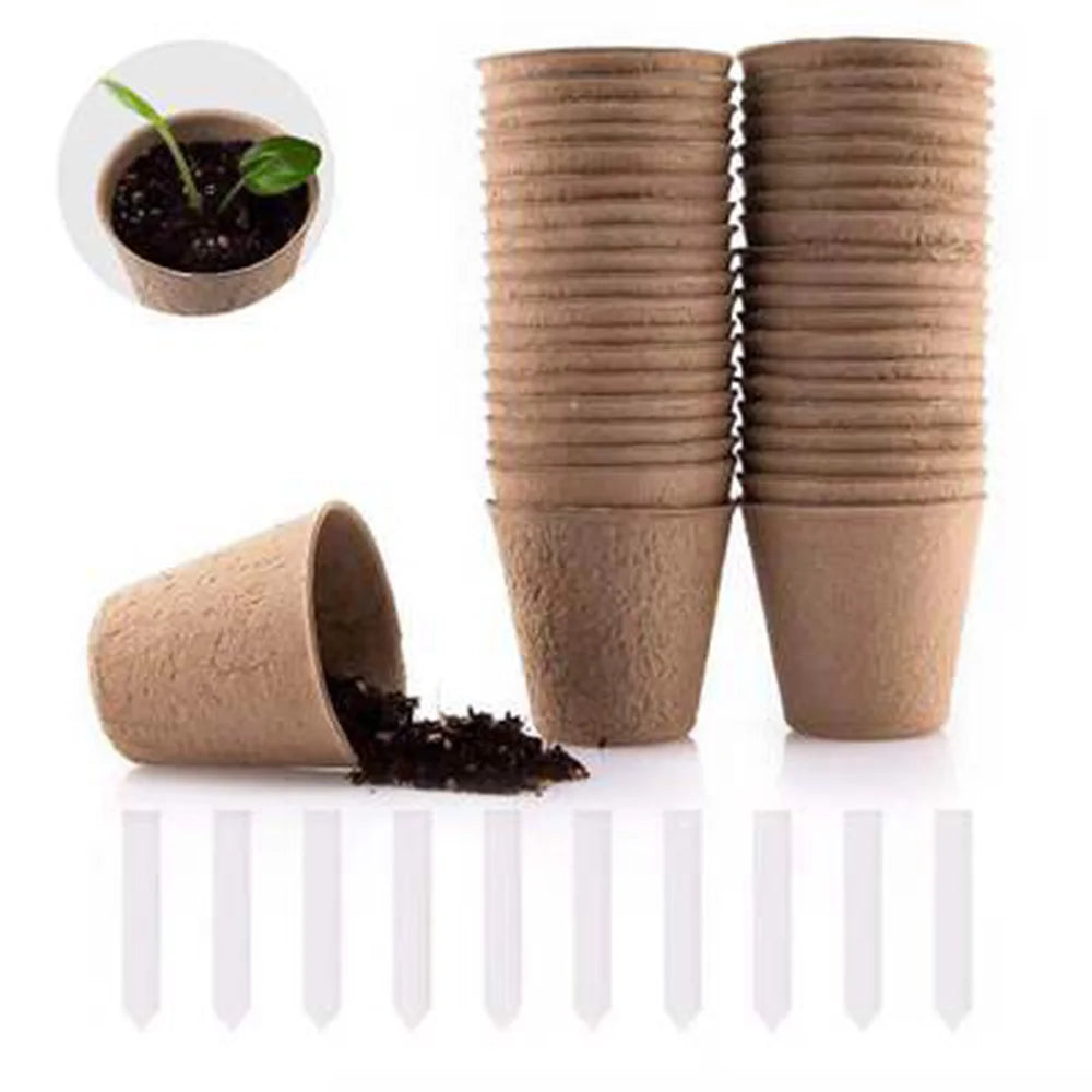50pc biodegradable seedling pots
