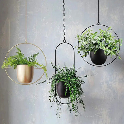 creative hanging indoor planter