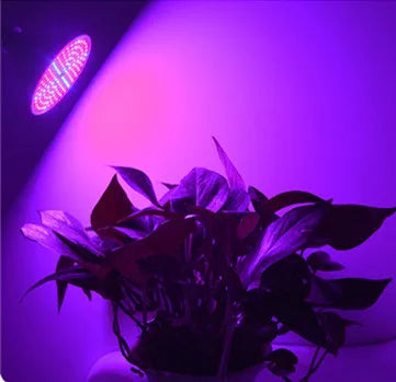 phyto led plant lamp