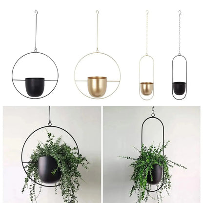 creative hanging indoor planter